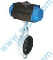 Wafer soft seal butterfly valve (3)